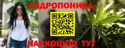 спайс Новодвинск